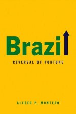 Brazil Reversal Of Fortune