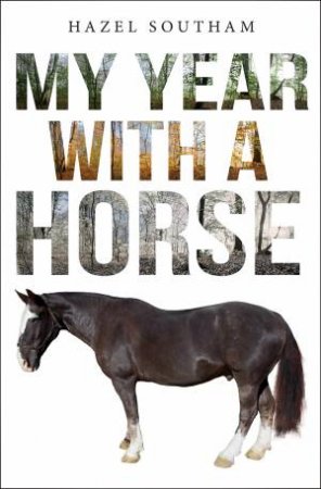 My Year With A Horse: Feeling The Fear But Doing It Anyway by Hazel Southam