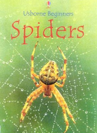 Usborne Beginners: Spiders by Various