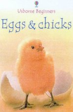 Usborne Beginners Eggs  Chicks