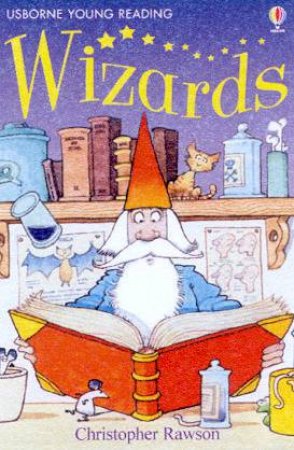 Usborne Young Reading: Wizards by Christopher Rawson