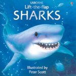 Usborne LiftTheFlap Sharks