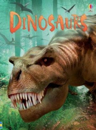 Usborne Beginners: Dinosaurs by Stephanie Turnbull