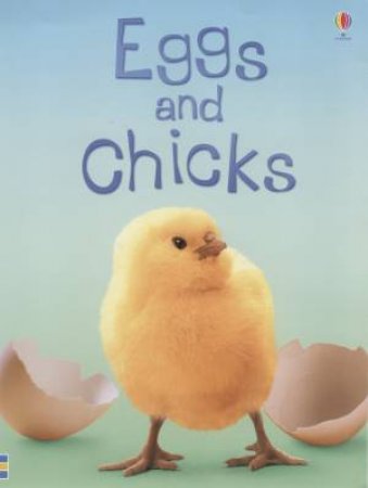 Usborne Beginners: Eggs And Chicks by Fiona Patchett
