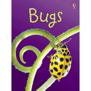 Bugs by Lucy Bowman