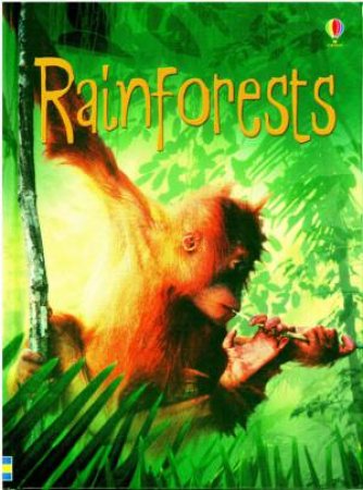 Rainforests by Catriona Clarke