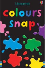 Colours Snap Cards