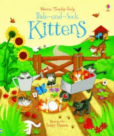 Hide and Seek Kittens by Fiona Watt