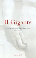 Il Gigante Michelangelo Florence And The David 14921504
