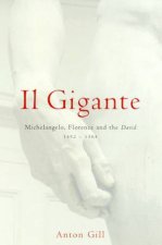 Il Gigante Michelangelo Florence And The David 14921504