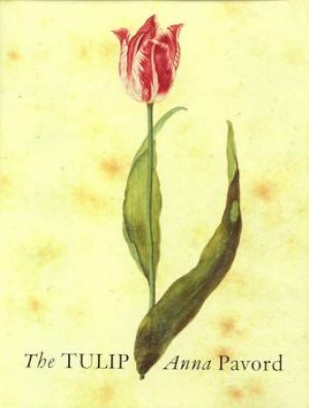 The Tulip by Anna Pavord