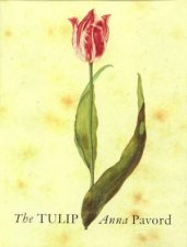 The Tulip