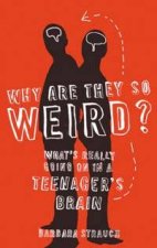 Why Are They So Weird Whats Really Going On In A Teenagers Brain