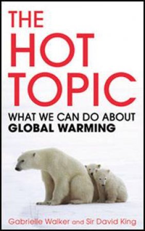 The Hot Topic: How To Tackle Global Warming And Still Keep The Lights On by Gabrielle Walker & Sir David King