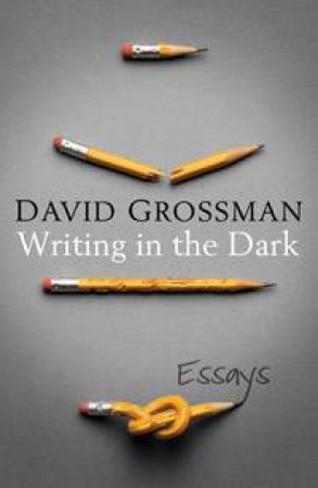 Writing in the Dark: Essays by David Grossman