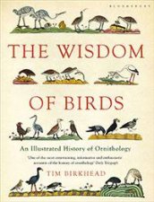 Wisdom of Birds