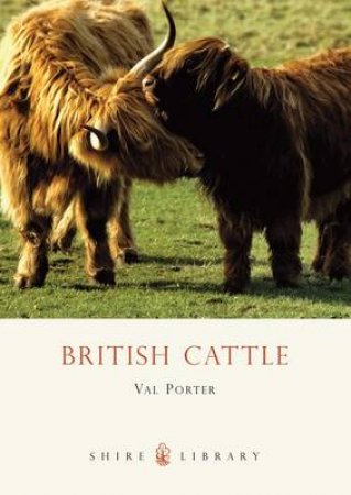 British Cattle by Val Porter