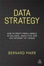 Data Strategy
