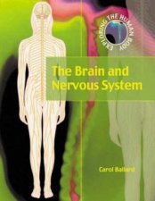 Exploring The Human Body The Brain And Nervous System