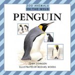 Zoo Animals In The Wild Penguin