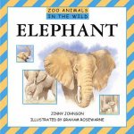 Zoo Animals In The Wild Elephant