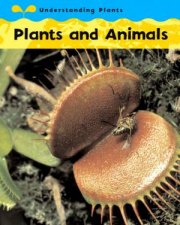 Understanding Plants Plants And Animals