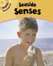 Reading Roundabout Seaside Senses