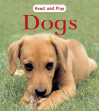 Read And Play Dogs