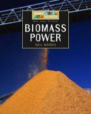 Energy Sources Biomass Power