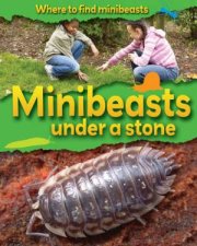 Where to Find Minibeasts Under a Stone