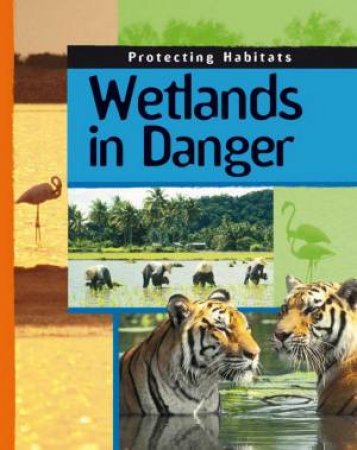 Protecting Habitats: Wetlands in Danger by Andrew Campbell