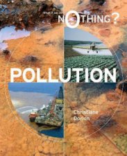 What if We Do Nothing Pollution