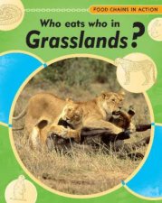 Food Chains in Action Who Eats Who in Grasslands