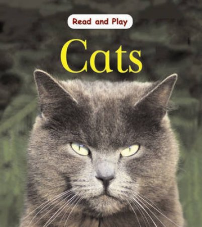 Read and Play: Cats by Jim Pipe