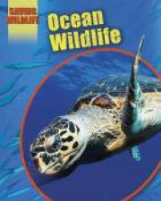 Saving Wildlife Ocean Animals