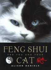 Feng Shui For You And Your Cat