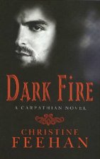 Dark Fire