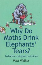 Why Do Moths Drink Elephants Tears