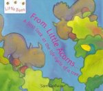 Little Bees From Little Acorns   