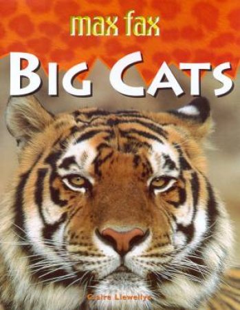 Max Fax: Big Cats by Claire Llewellyn