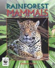 Rainforest Mammals