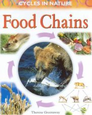 Cycles In Nature Food Chains