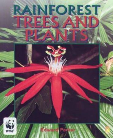 Rainforest: Trees And Plants by Edward Parker