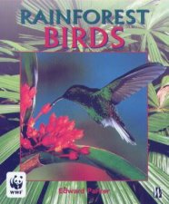 Rainforest Birds