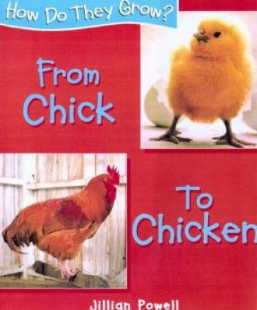 How Do They Grow?: From Chick To Chicken by Jillian Powell