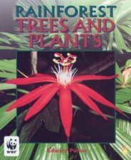 Rainforest Trees And Plants