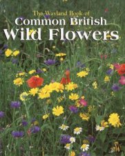 The Wayland Book Of Common British Wild Flowers