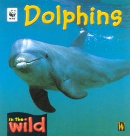 In The Wild: Dolphins by Patricia Kendell