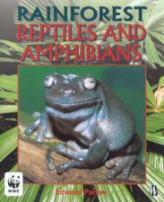 Rainforest Reptiles And Amphibians
