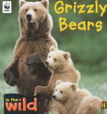 In The Wild Grizzly Bears